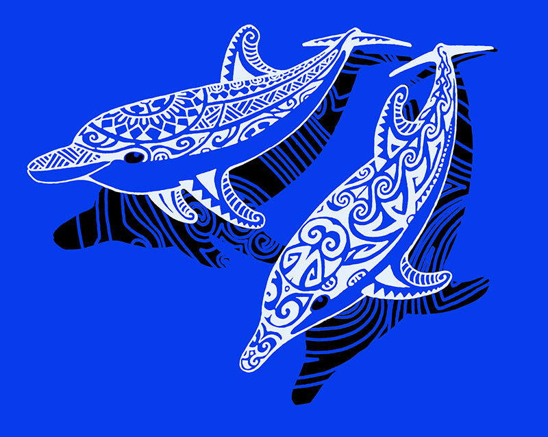 duo dauphins blanc noir fond bleu